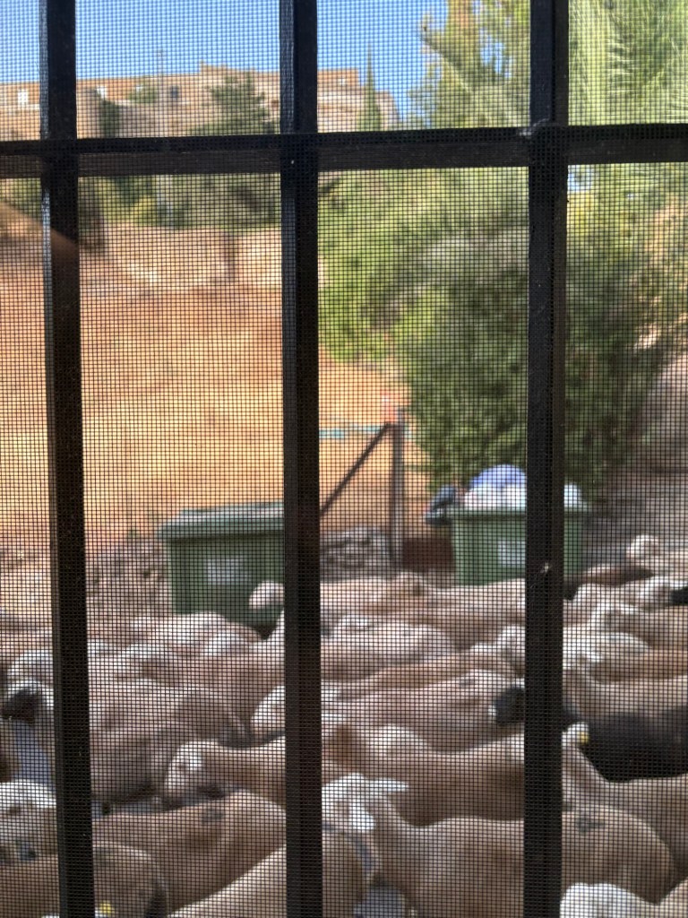 Travel photograph from Ronda, Spain — 15 July 2026