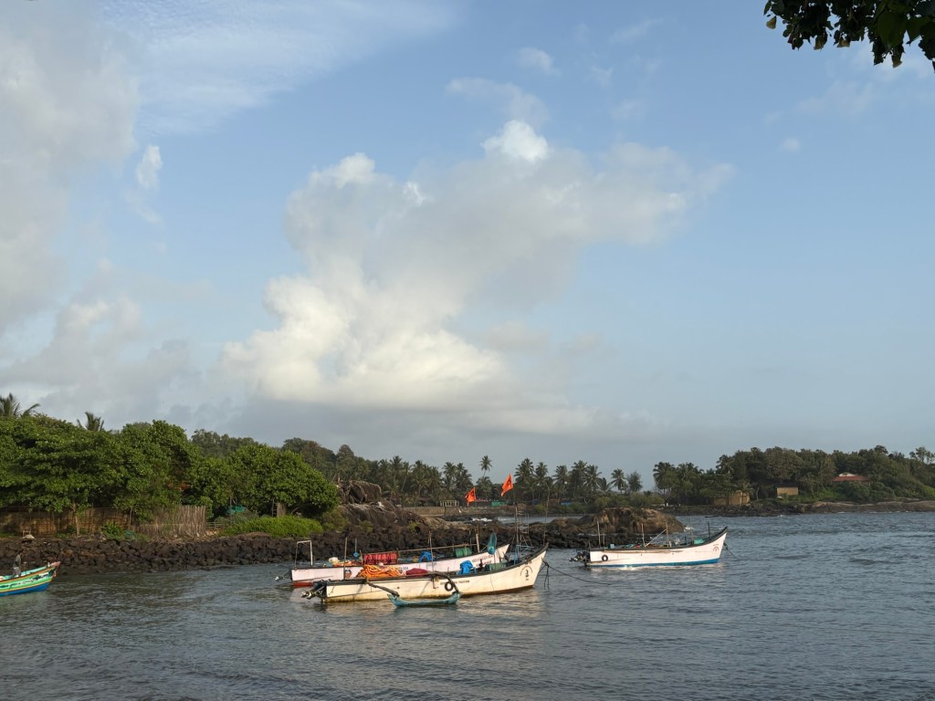 Travel photograph from Palolem Beach, Goa — 20 August 2026