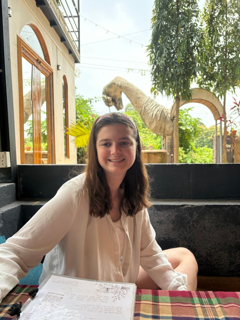 Travel photograph from Piccolo Dreams, South Goa — 25 August 2026